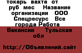 токарь. вахта. от 50 000 руб./мес. › Название организации ­ ООО Спецресурс - Все города Работа » Вакансии   . Тульская обл.